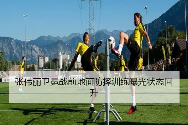 张伟丽卫冕战前地面防摔训练曝光状态回升 | YaxinSports